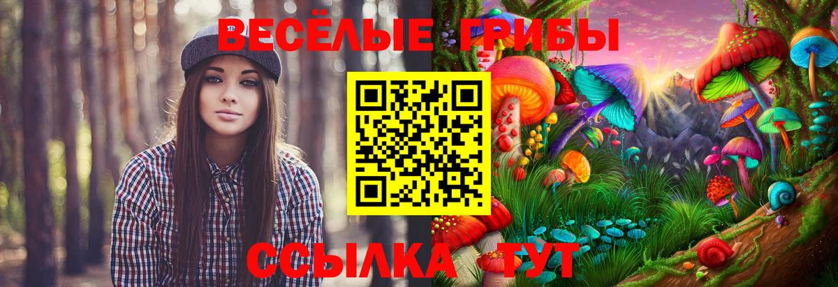 Псилоцибиновые грибы мицелий  Вход с VPN  Воркута 