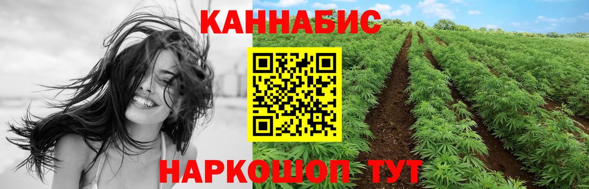 Бошки Шишки планчик Воркута
